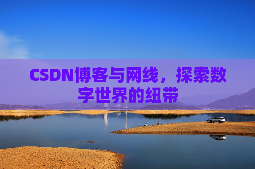 CSDN博客与网线，探索数字世界的纽带